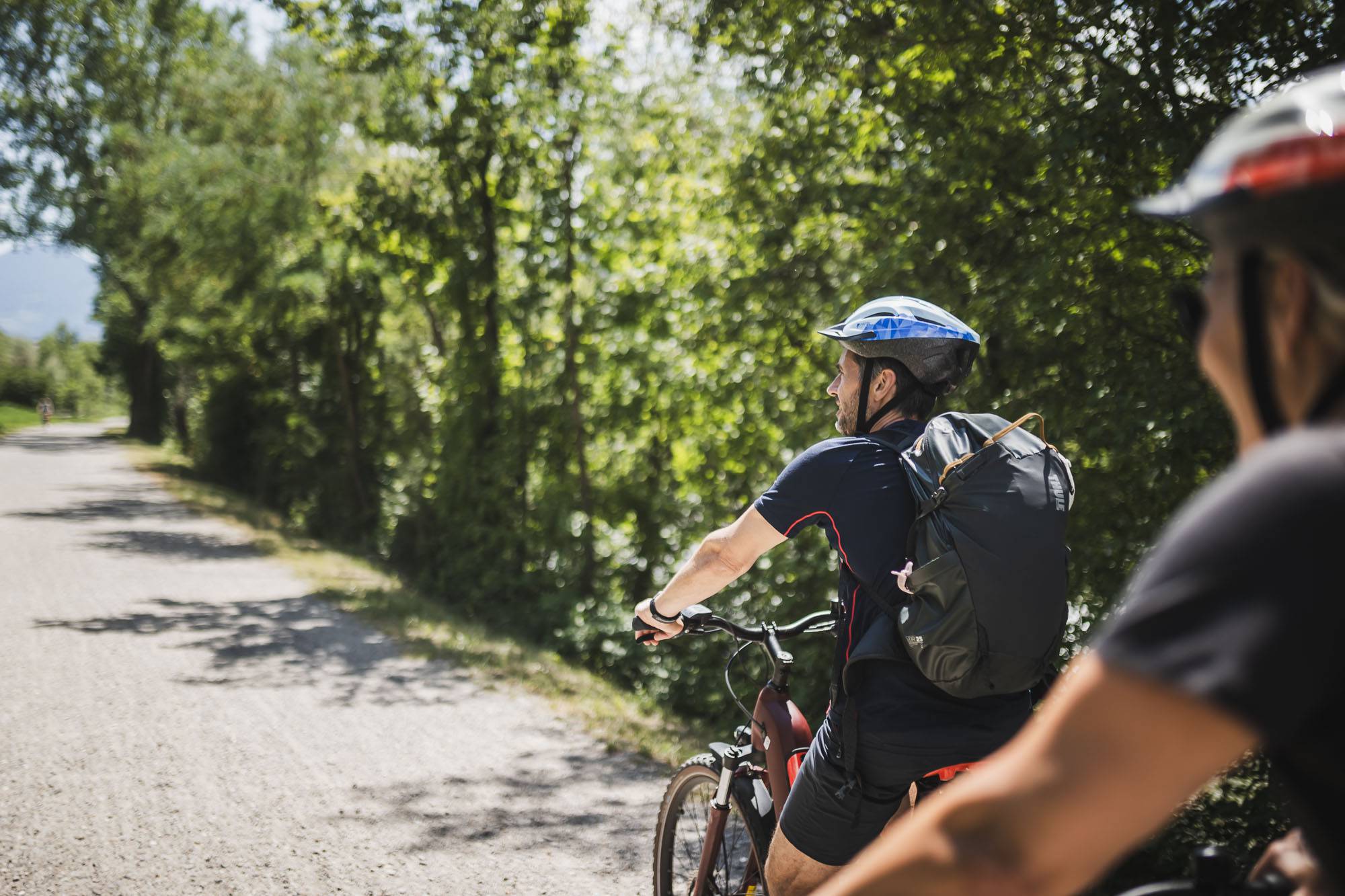 Ansitz Plantiz: Tra le Alpi e le palme: tradizione viva nella zona di Merano. - ✅ Ansitz Plantiz OM Landingpages