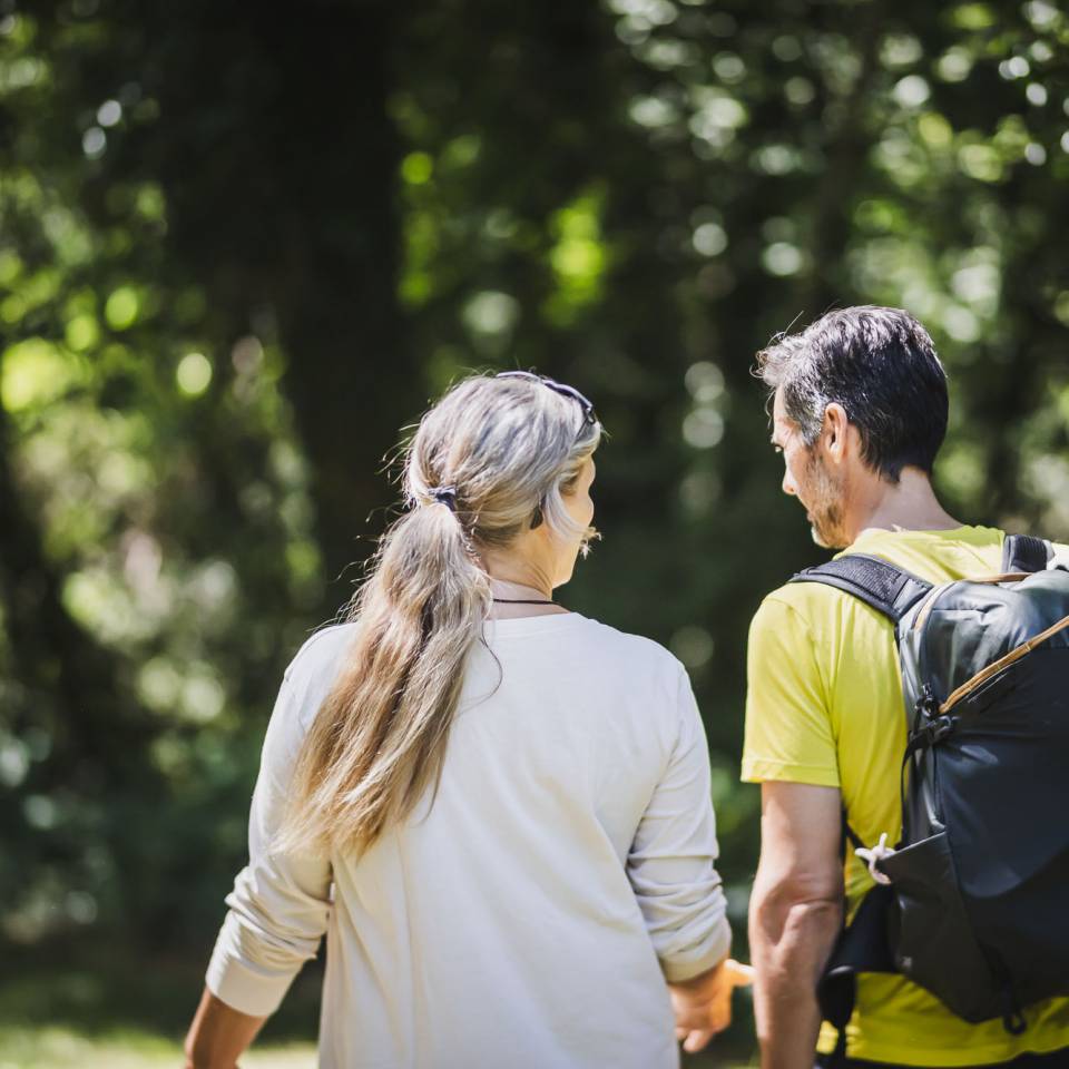 Posizione privilegiata a Maia Alta: - ✅ Ansitz Plantiz OM Landingpages